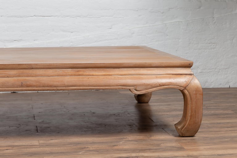 Thai Teak Wood Coffee Table with White Wash Finish and Bulging Chow