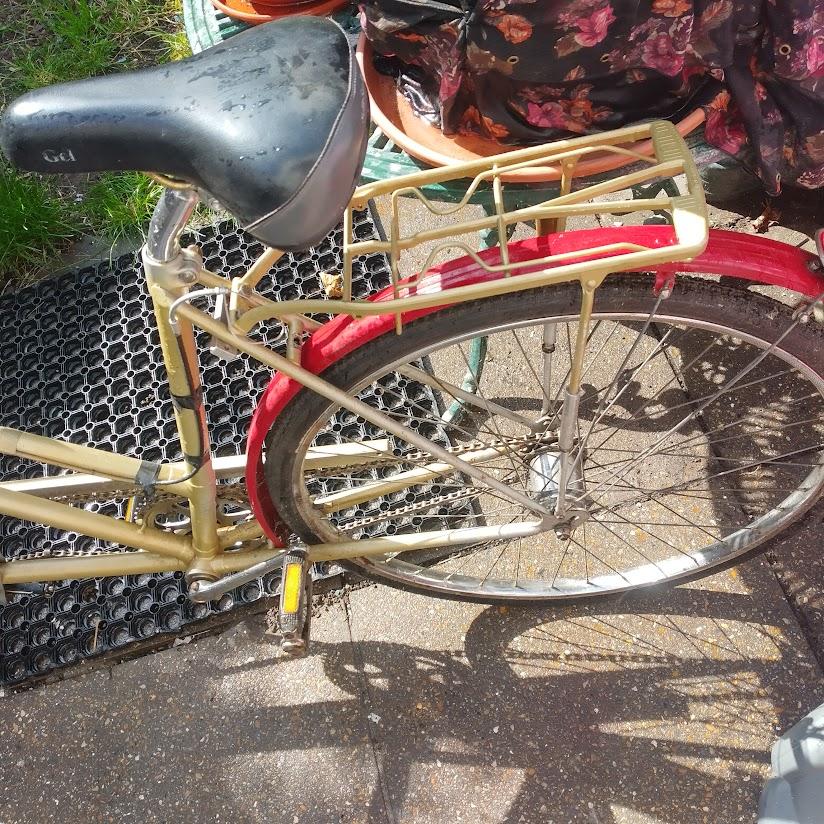 raleigh tandem bike