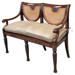 Vintage Theodore Alexander Regency Caned Mahogany Settee With Down Cushion