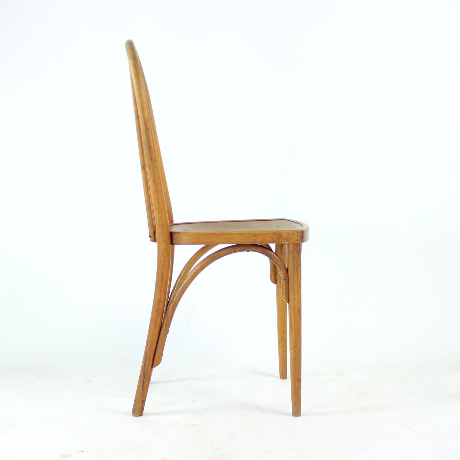 Bauhaus Sedia Thonet vintage in legno di quercia con etichetta originale, Cecoslovacchia, anni '20 in vendita