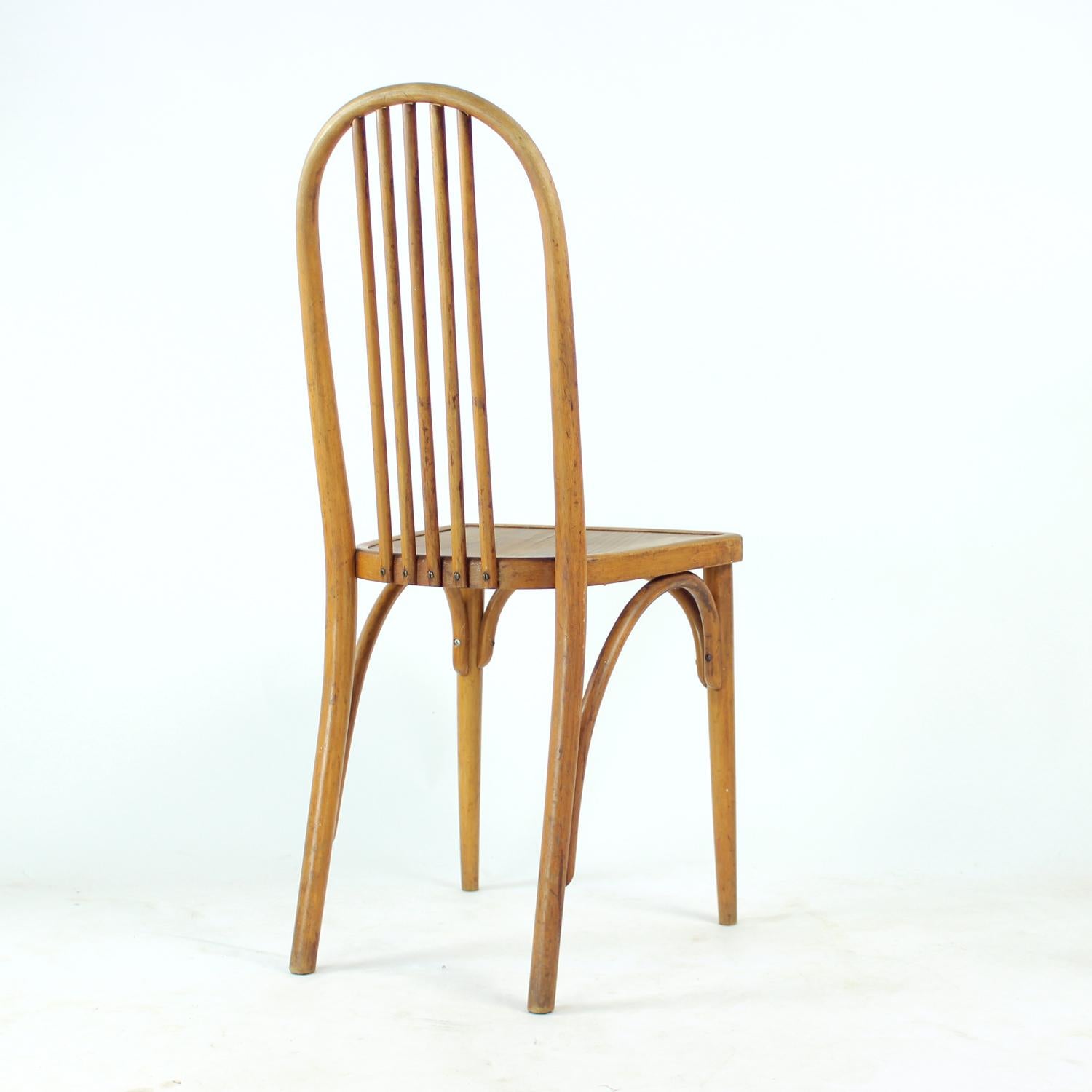 Sedia Thonet vintage in legno di quercia con etichetta originale, Cecoslovacchia, anni '20 In condizioni buone in vendita a Zohor, SK
