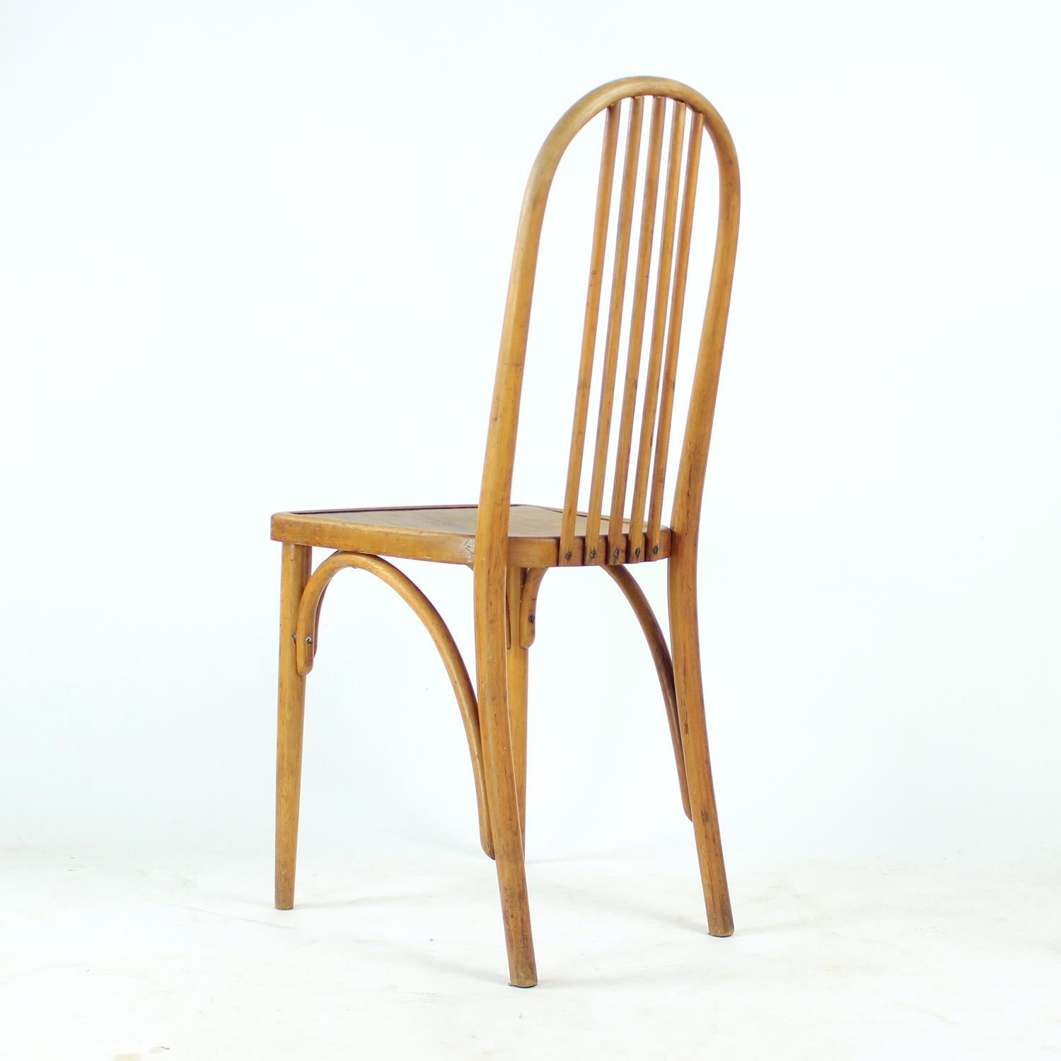 Legno curvato Sedia Thonet vintage in legno di quercia con etichetta originale, Cecoslovacchia, anni '20 in vendita