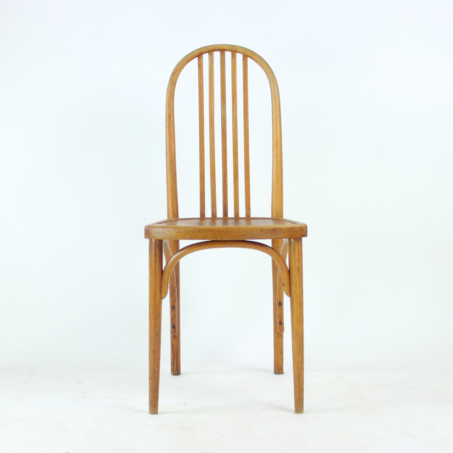 Sedia Thonet vintage in legno di quercia con etichetta originale, Cecoslovacchia, anni '20 in vendita 2