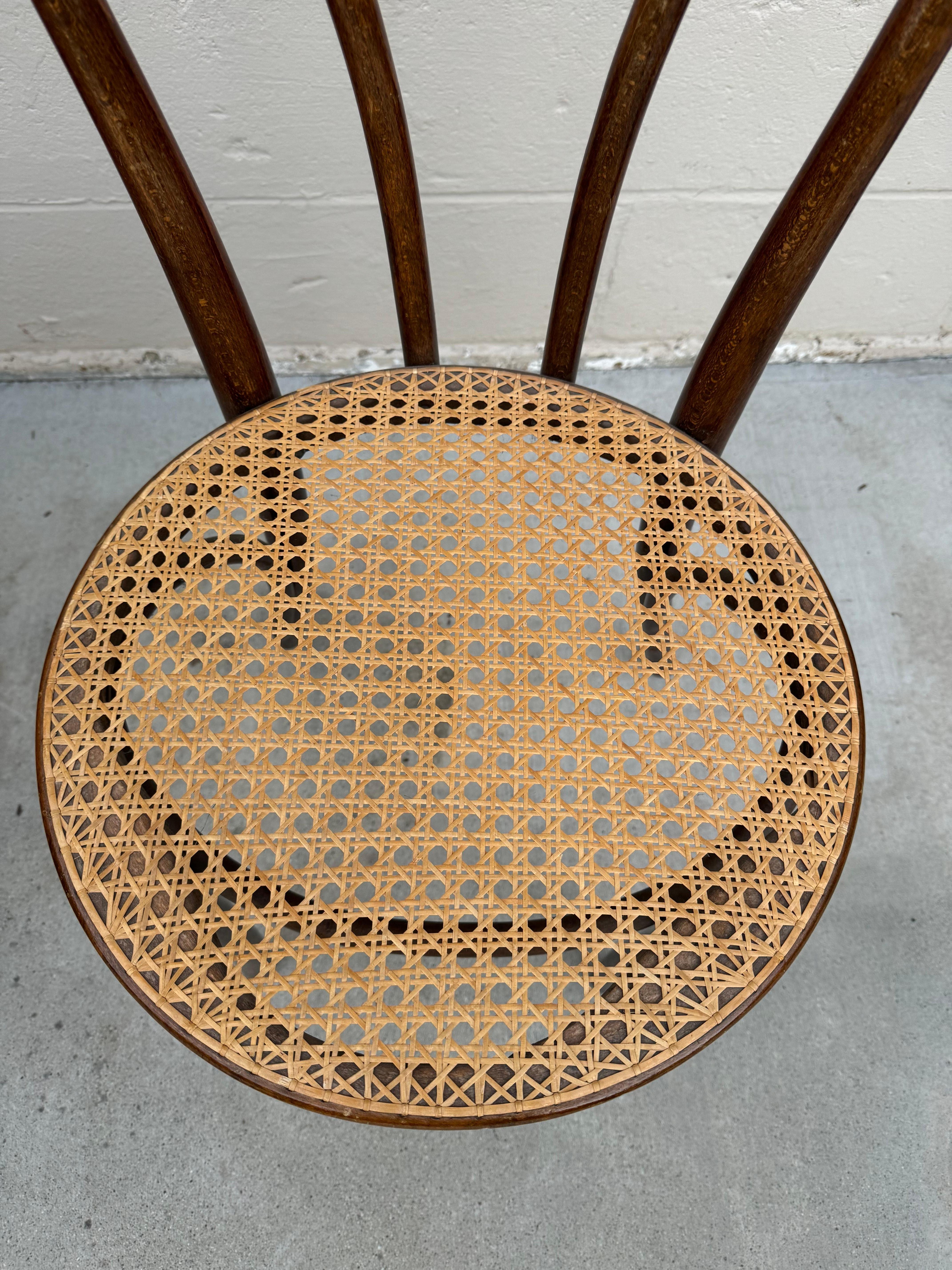 Mid-20th Century Vintage Thonet Style Bentwood Chair With Cane Seating For Sale