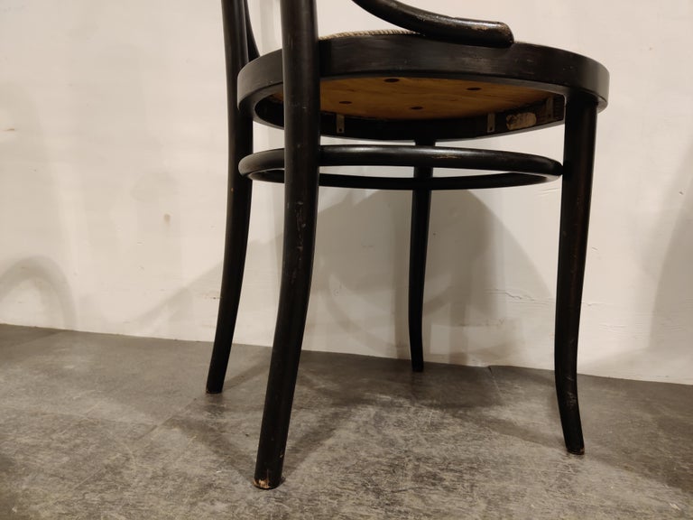 Vintage Thonet Style Bentwood High Back Dining Chairs, 1960s 2