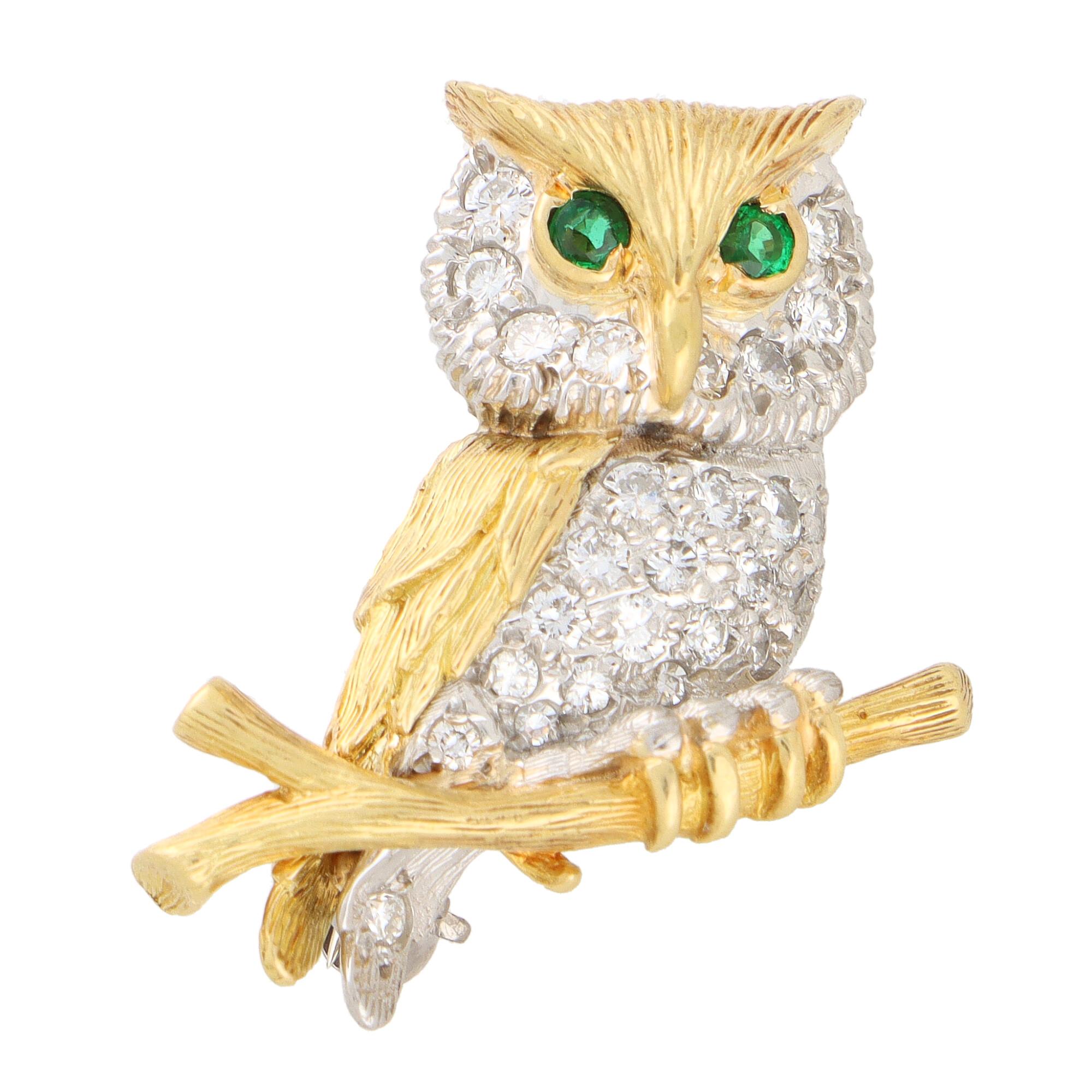 owl and co