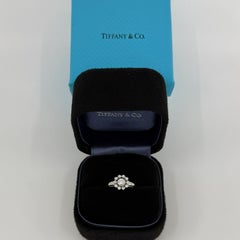 Vintage Tiffany & Co Enchanted Flower Natural Diamond Platinum Halo Cluster Ring