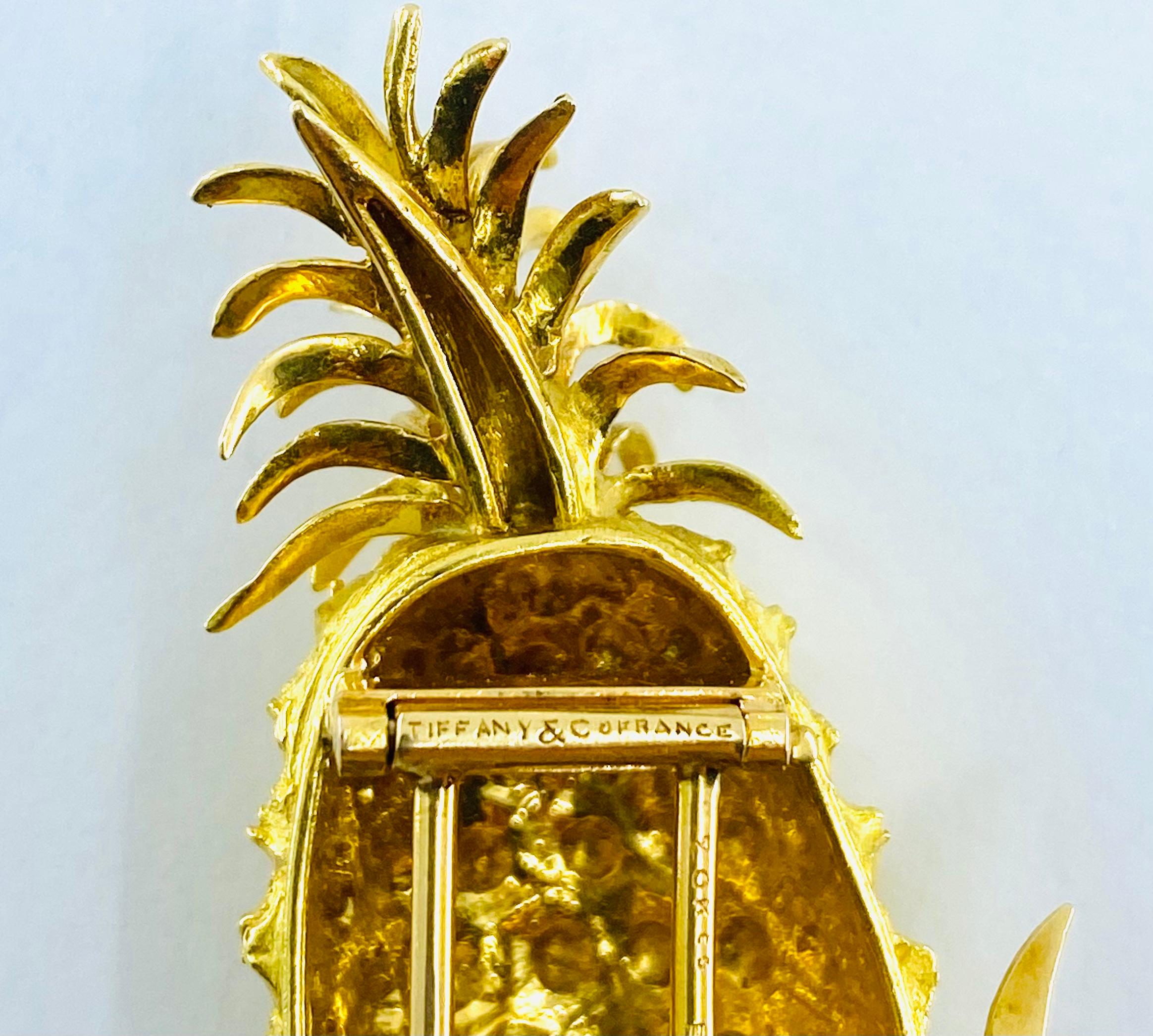 zodiac pineapple watch