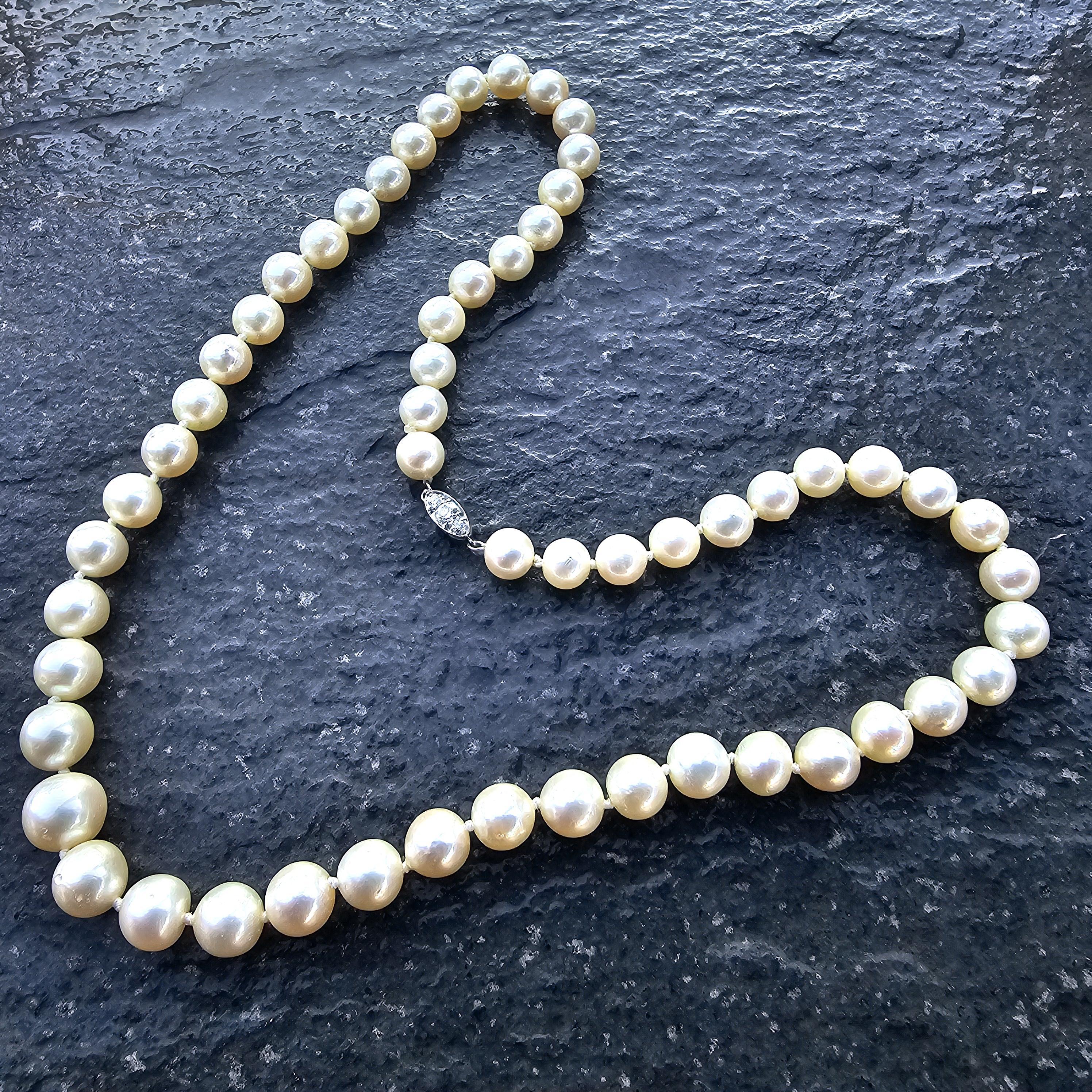 Ecco una splendida collana di perle di Tiffany & Co. con accenti di diamanti in oro 14k e platino. L'estremità femminile della chiusura contiene circa l'85% di platino, mentre il metallo rimanente è iridio e tracce di altri metalli. L'estremità