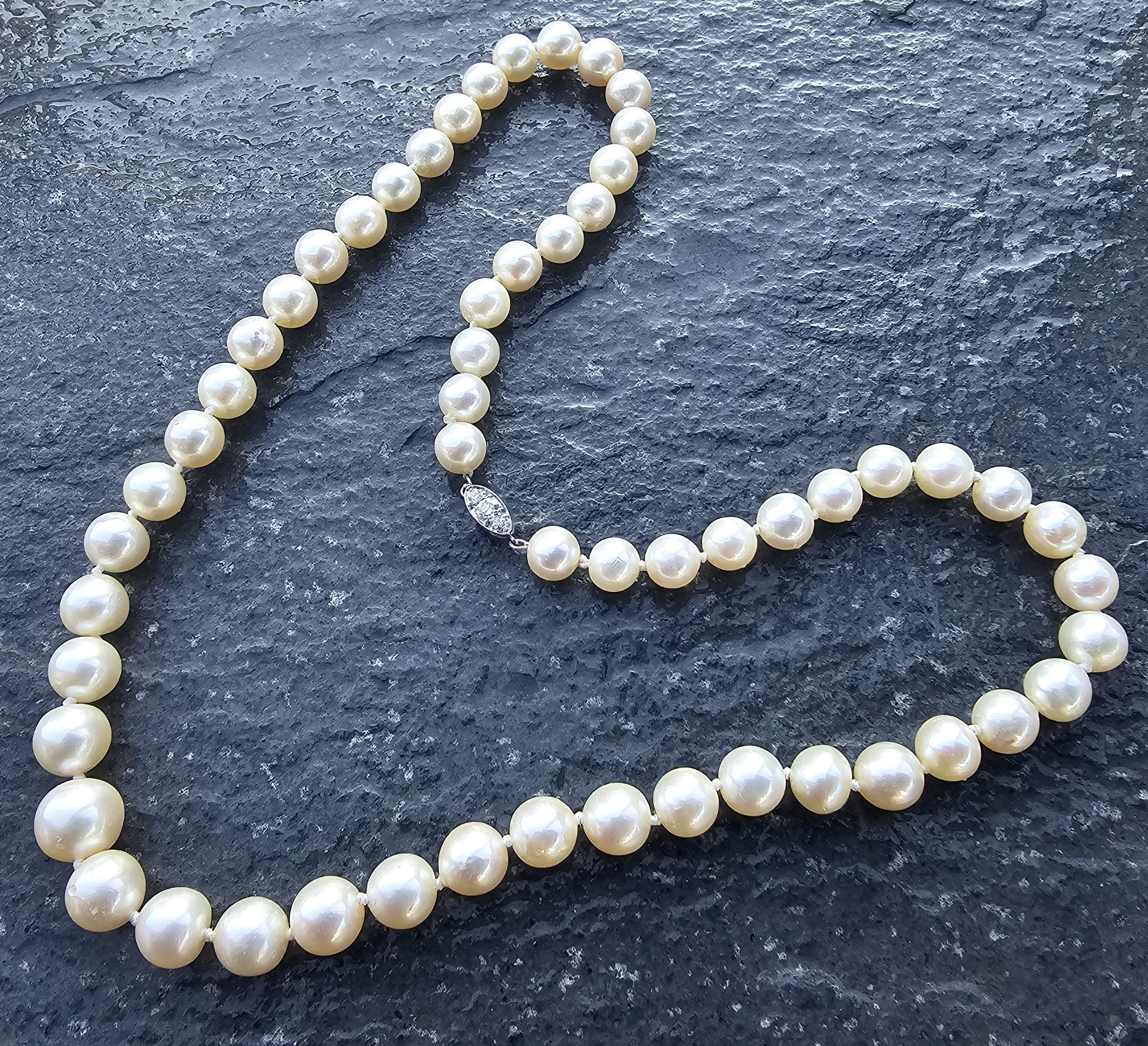 Perlina Tiffany & Co. d'epoca. Collana con fili di perle in platino 85% Chiusura con diamanti 14k 20