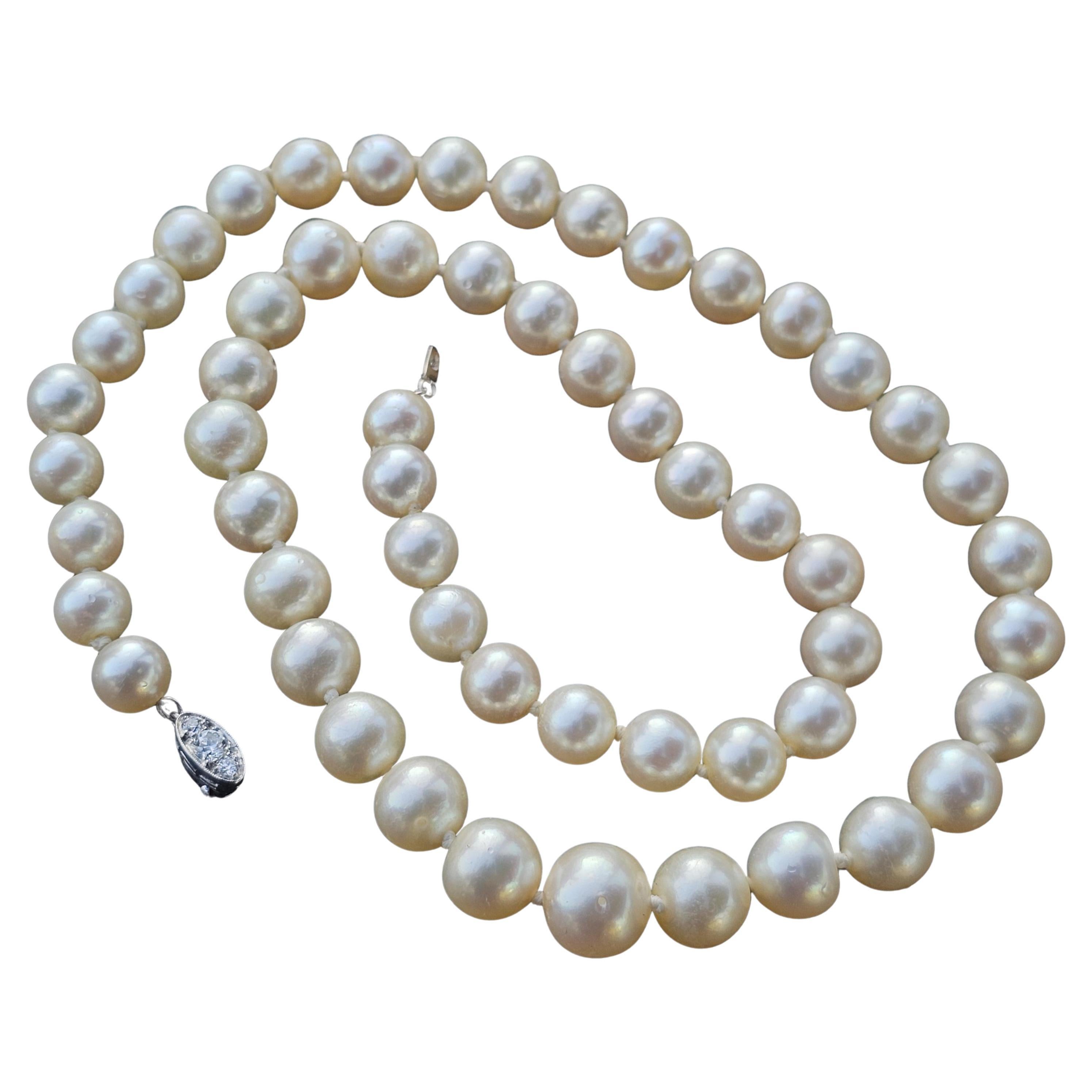 Tiffany & Co. d'epoca. Collana con fili di perle in platino 85% Chiusura con diamanti 14k 20"