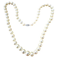 Vintage Tiffany & Co. Pearl Strand Necklace Platinum 85% Clasp Diamond 14k 20"