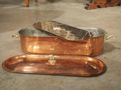 Vintage Tin Lined German Copper Fish Poacher with Bronze Fish Handles