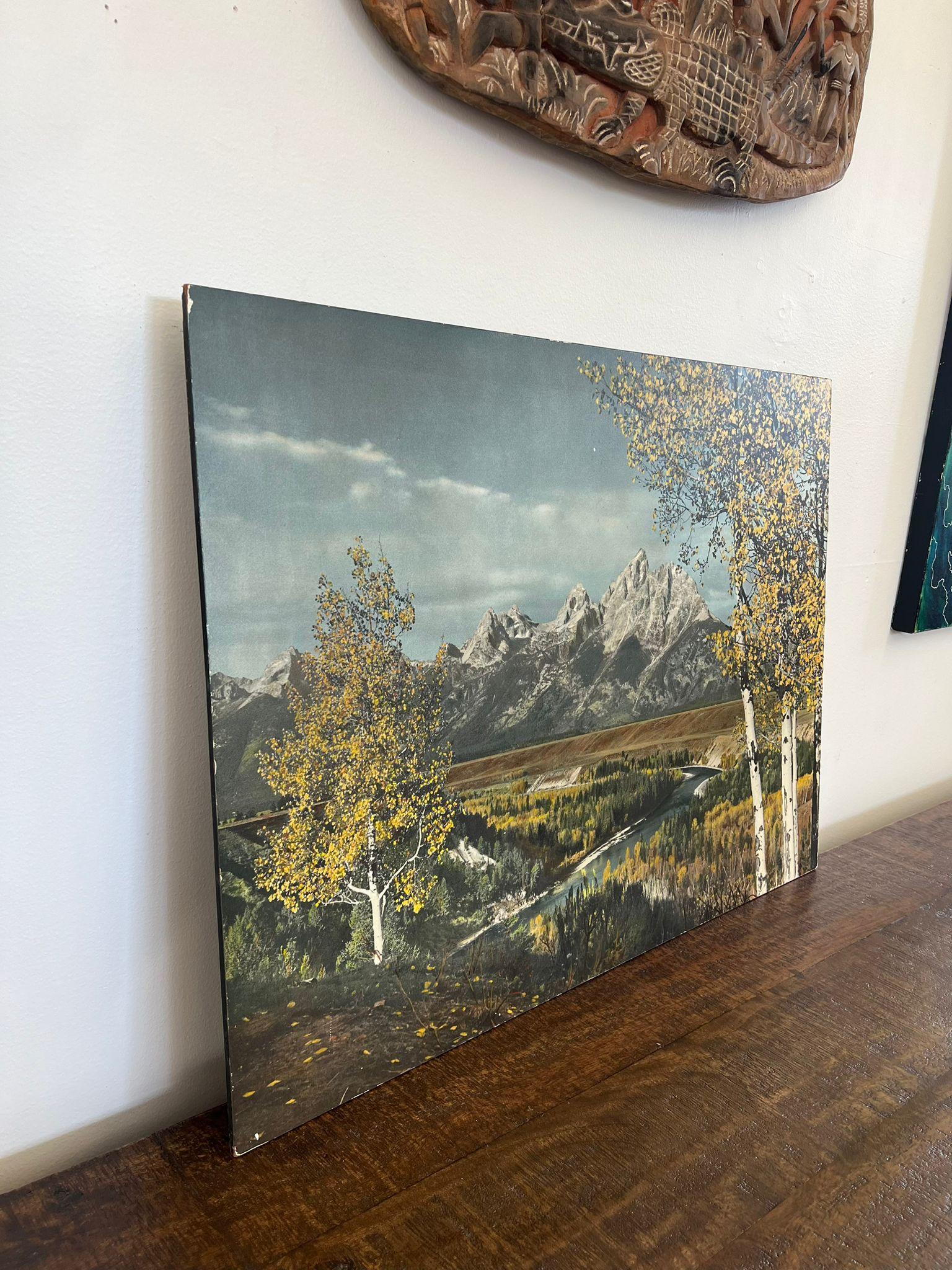 Vintage tinted photo print believed to be 1970 era. This Piece has nice patina and character. Vintage Condition as pictured. Listing is for described item only.

Dimensions. 31.5”W ; 0.25”D ; 23.5”H