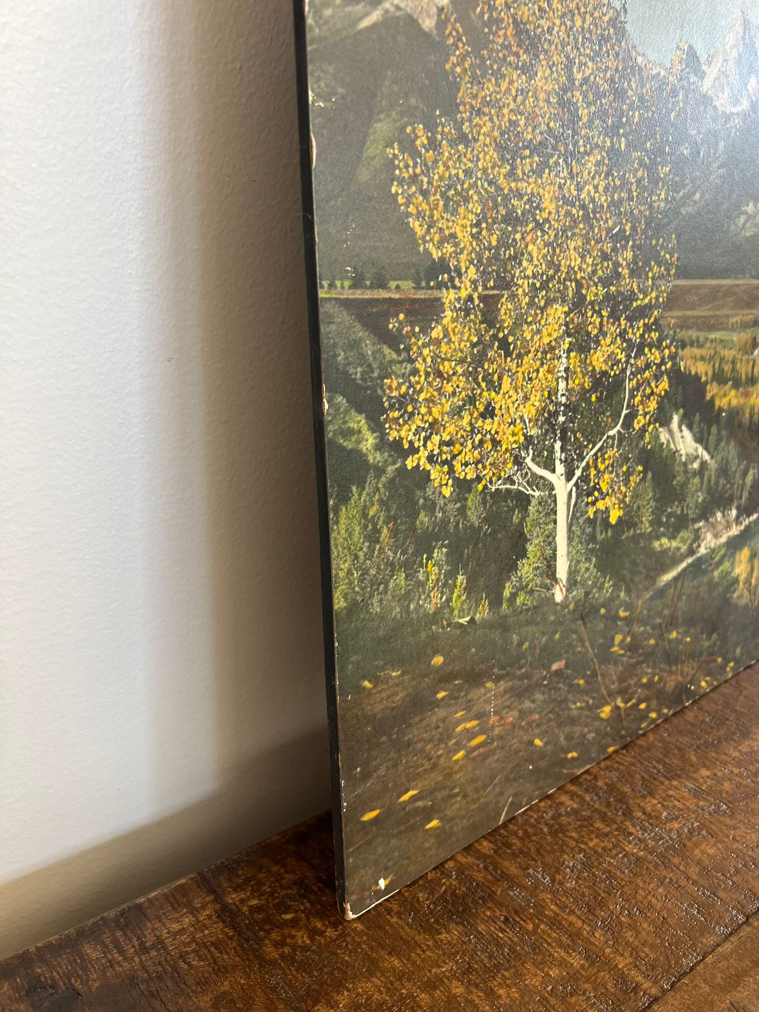 Vintage Tinted photo print For Sale 1