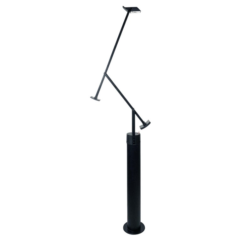 Vintage Tizio Plus Floor Lamp by Richard Sapper for Artimede For Sale at  1stDibs