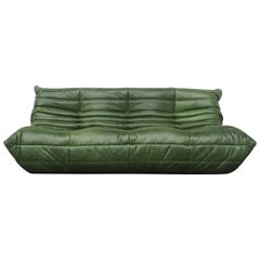 Vintage Togo-3-Seat in Forest Green Leather by Michel Ducaroy for Ligne Roset
