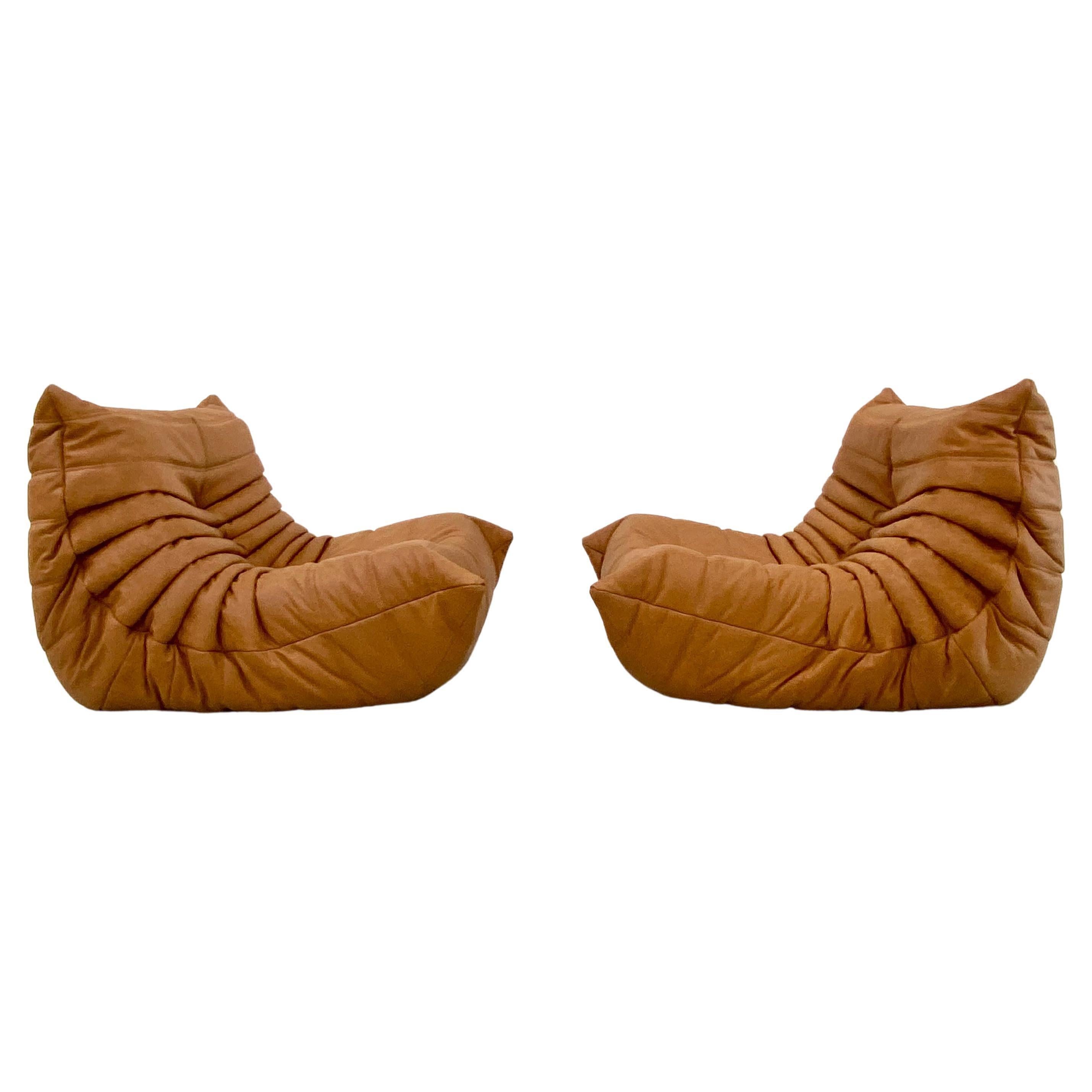 Mid-Century Modern Vintage Togo Chairs in Cognac Leather by M.Ducaroy for Ligne Roset, Set of 2