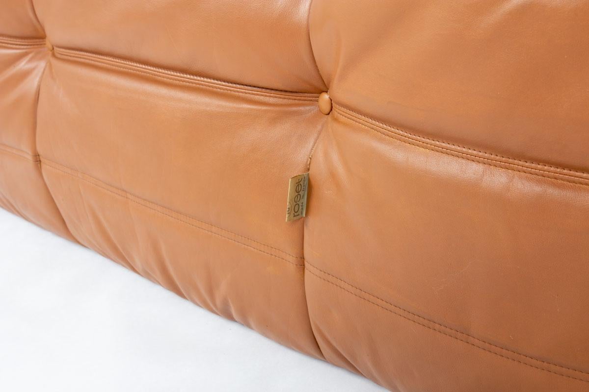 Canapé vintage Togo par Michel Ducaroy pour Ligne Roset, 1970 en vente 3