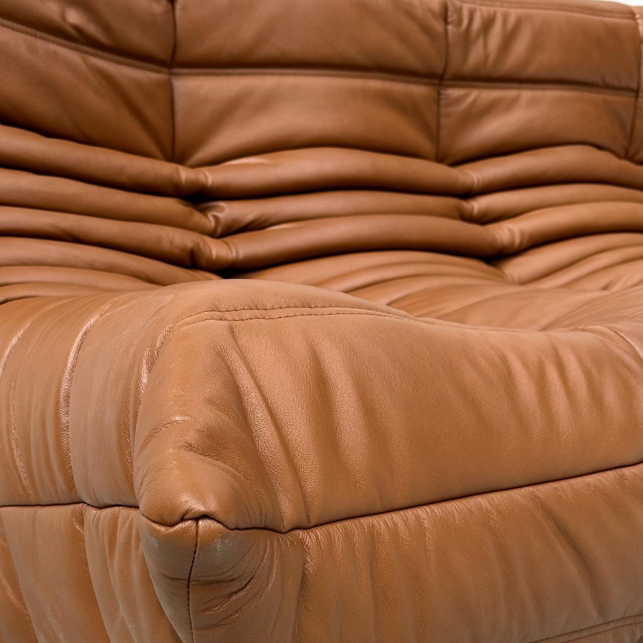 Vintage Togo Sofa in Dark Cognac Leather by Michel Ducaroy for Ligne Roset. For Sale 1