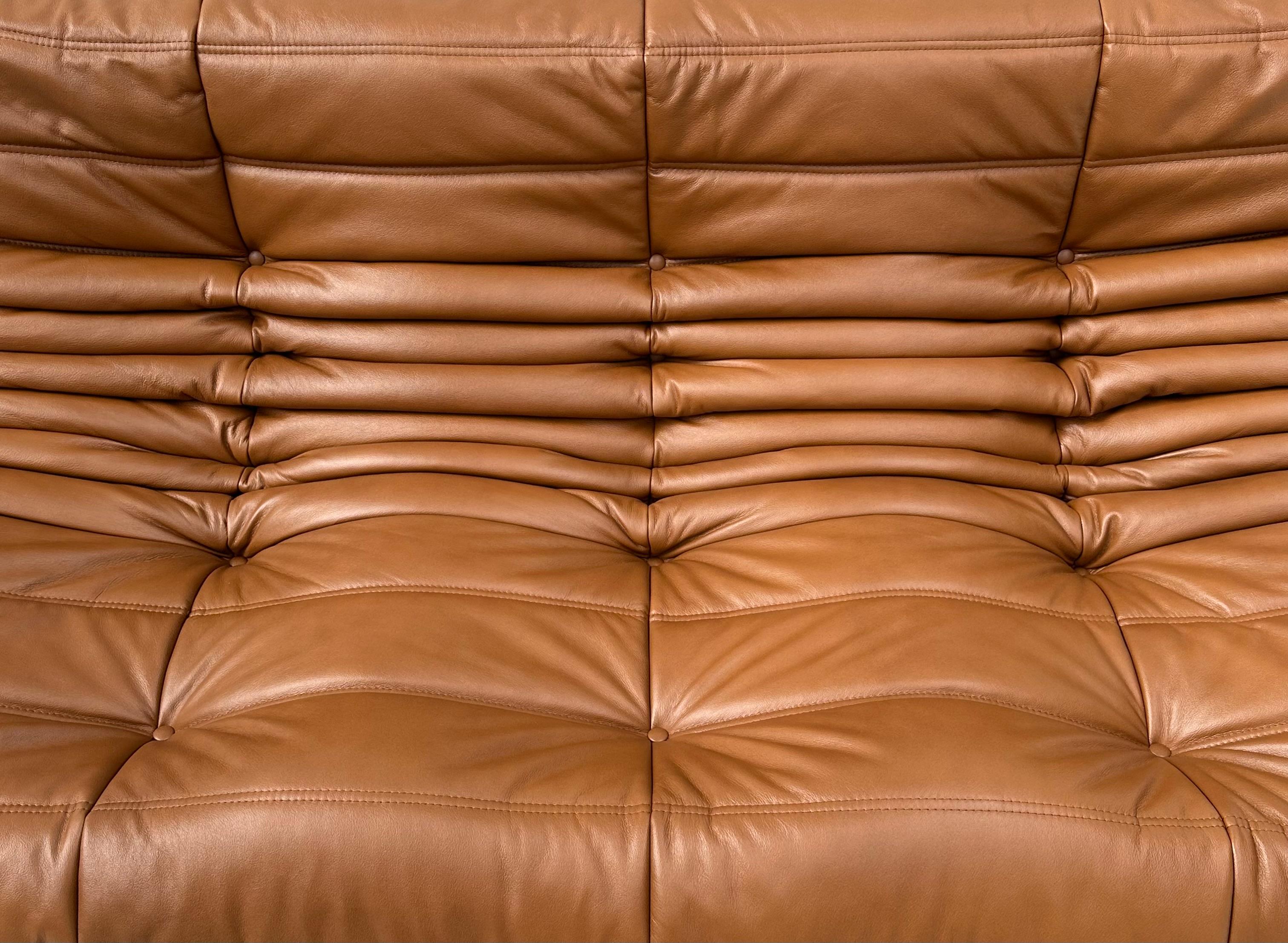 French Vintage Togo Sofa in Dark Cognac Leather by Michel Ducaroy for Ligne Roset. For Sale