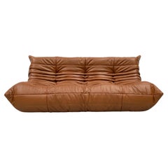 Vintage Togo Sofa in Dark Cognac Leather by Michel Ducaroy for Ligne Roset.