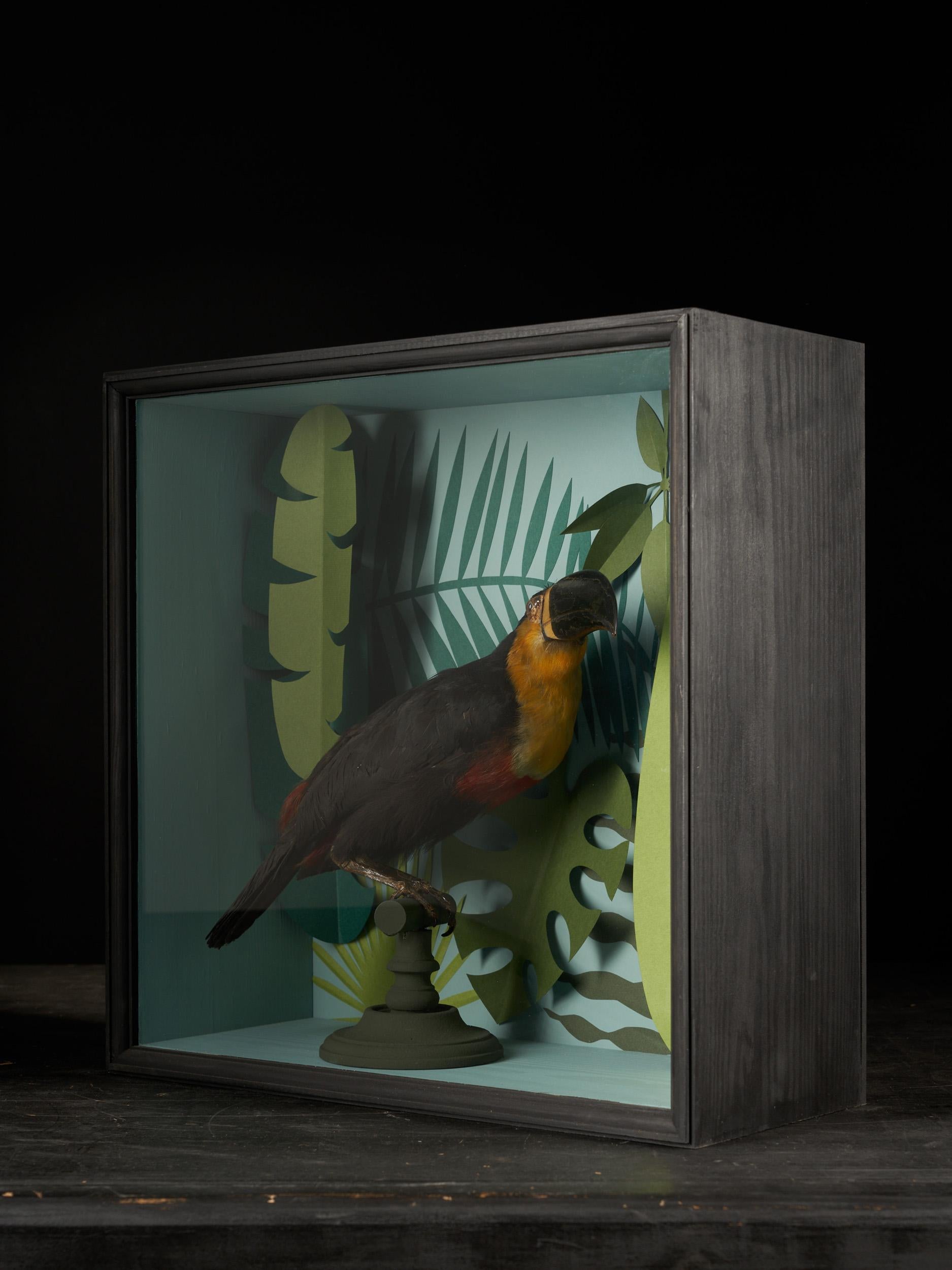 The paper foliage accurately replicates the Minimalist school of Victorian taxidermy. Toucans are members of the family Ramphastidae of near passerine birds from the Neotropics. They are brightly marked and have large bills. They make their nests in