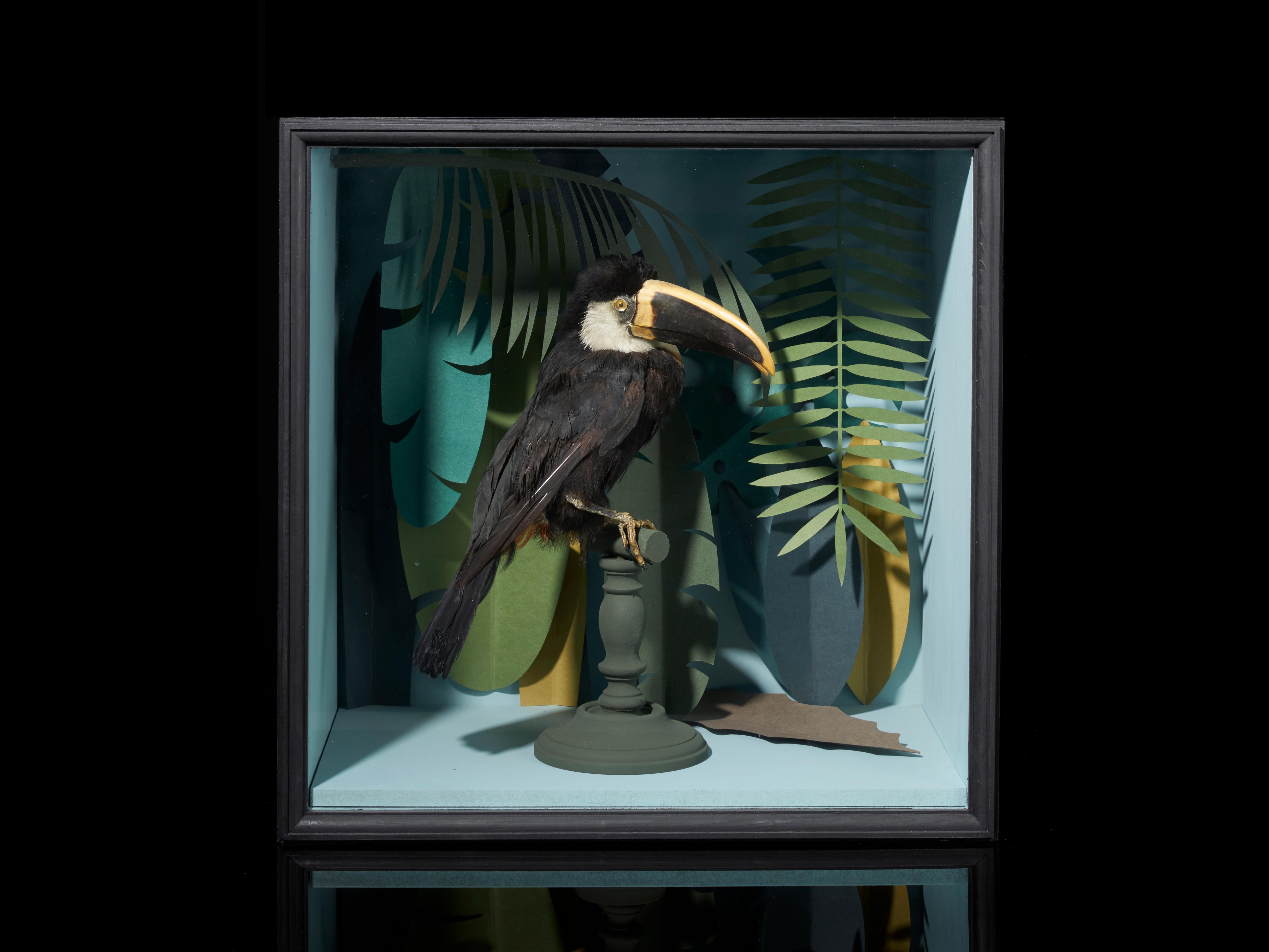 Set of 4.
The paper foliage accurately replicates the Minimalist school of Victorian taxidermy. Toucans are members of the family Ramphastidae of near passerine birds from the Neotropics. They are brightly marked and have large bills. They make