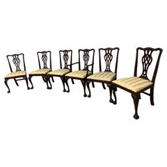 Sillas de Comedor Vintage Tradicionales Chippendale Ball and Claw de Caoba - Set de 6