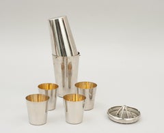 Vintage Travelling Cocktail Shaker in Leather Case