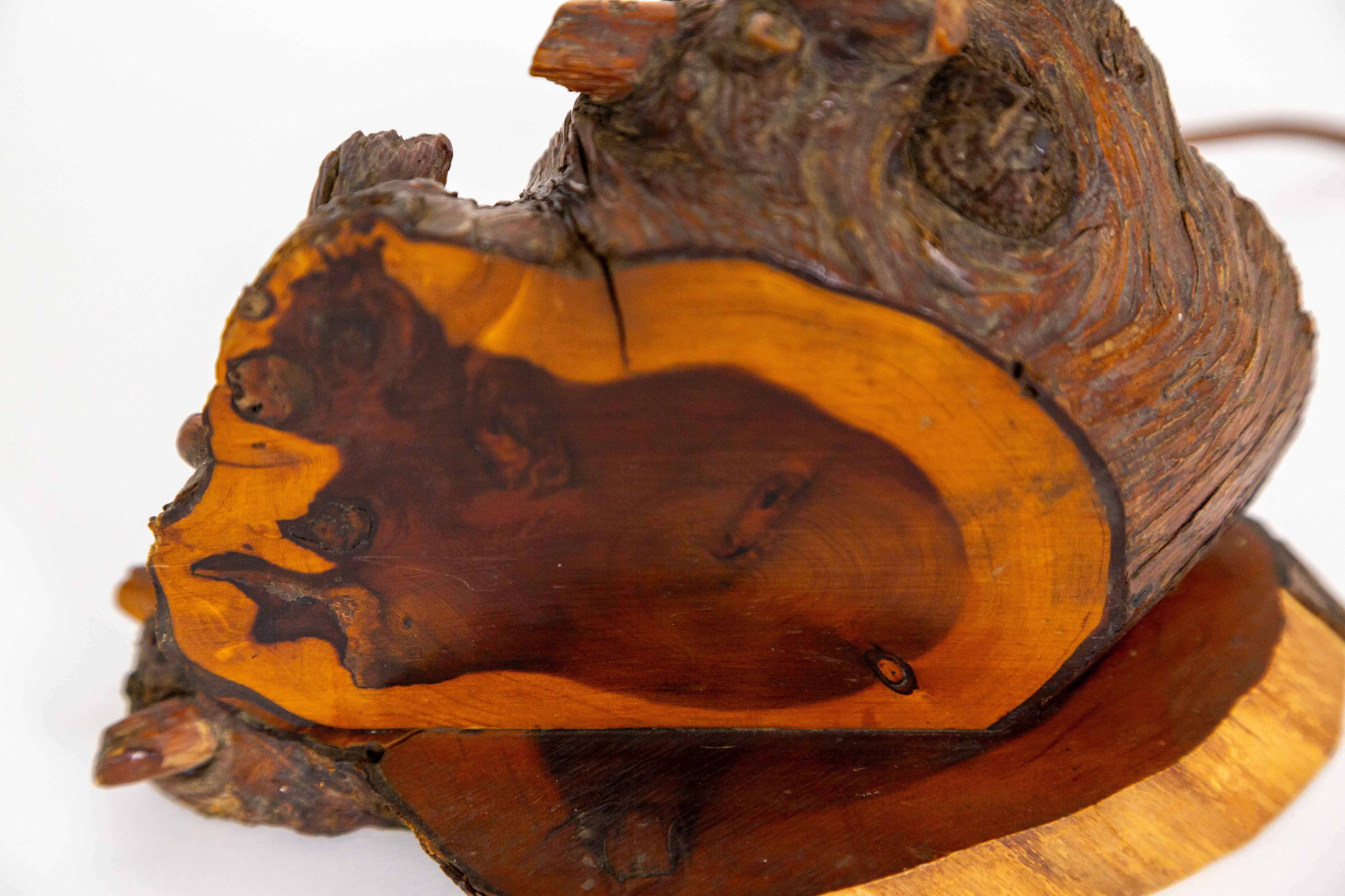 Vintage Tree Slice Table Lamp 3
