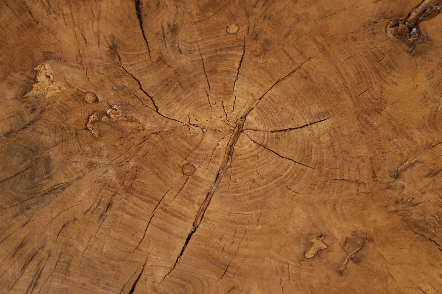 Wood Vintage Tree Trunk Coffee Table