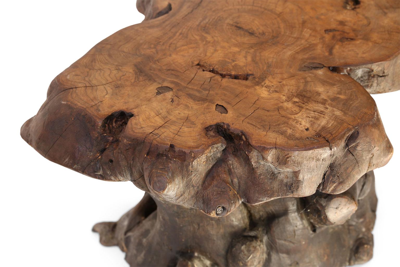 Vintage dark brown tree trunk coffee table from Belgium. Gnarled heavy root wood base, in a dark expresso brown color, supporting a lighter color brown trunk cross section top. Overall effect is organic modern.