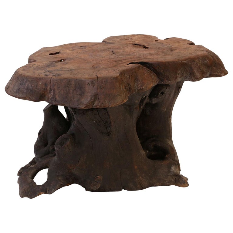 Vintage Tree Trunk Coffee Table For Sale at 1stdibs
