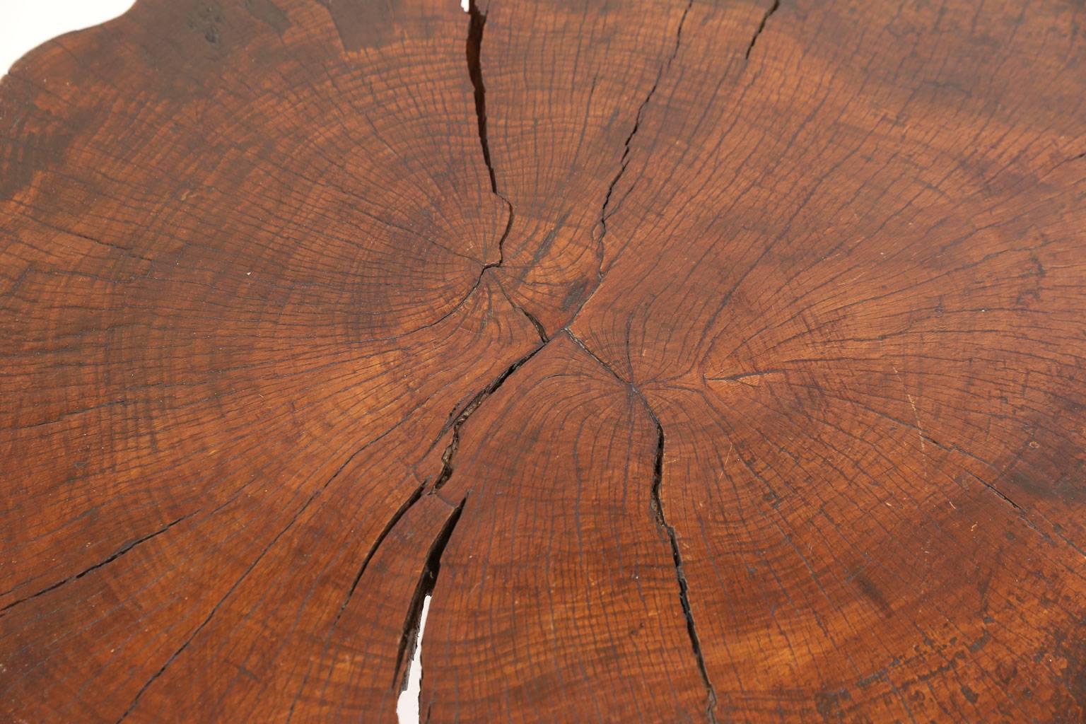 Hand-Carved Vintage Tree Trunk Coffee Table