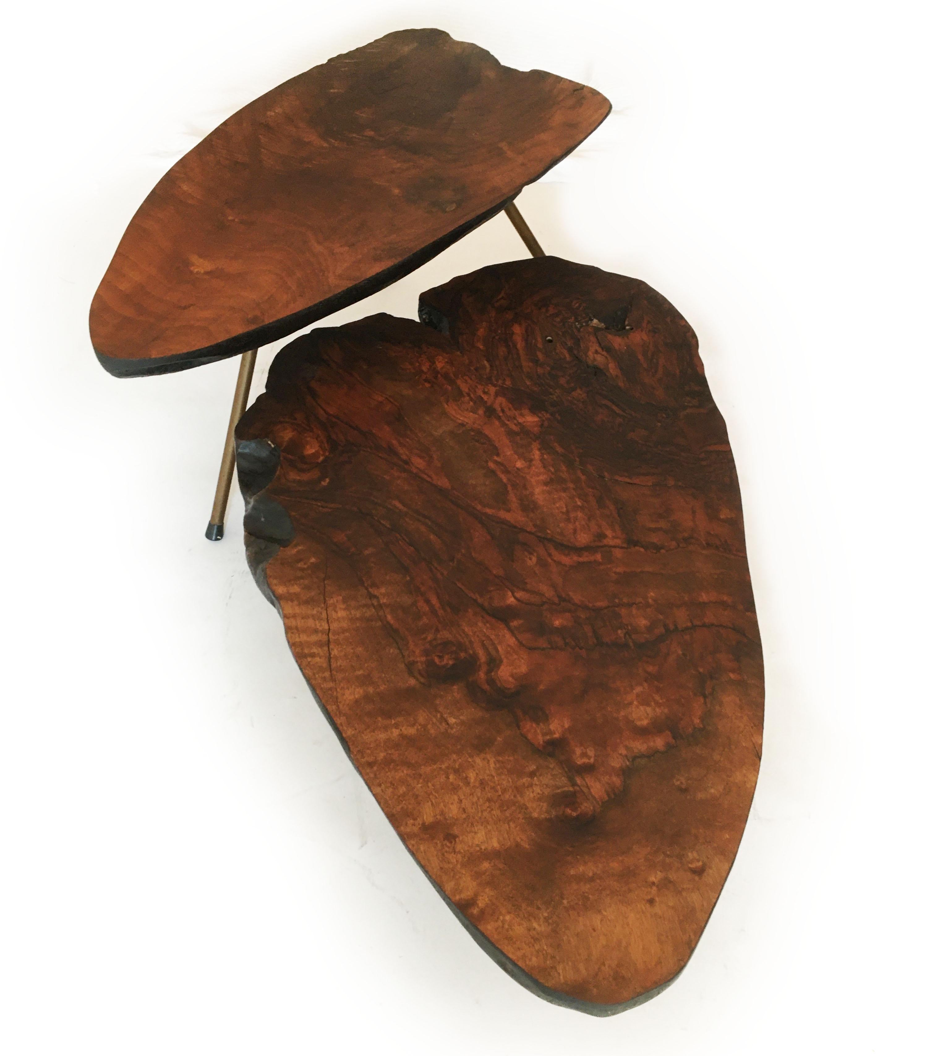 Vintage Tree Trunk Table Set of Two, Carl Auböck Style, Austria 1950s 4