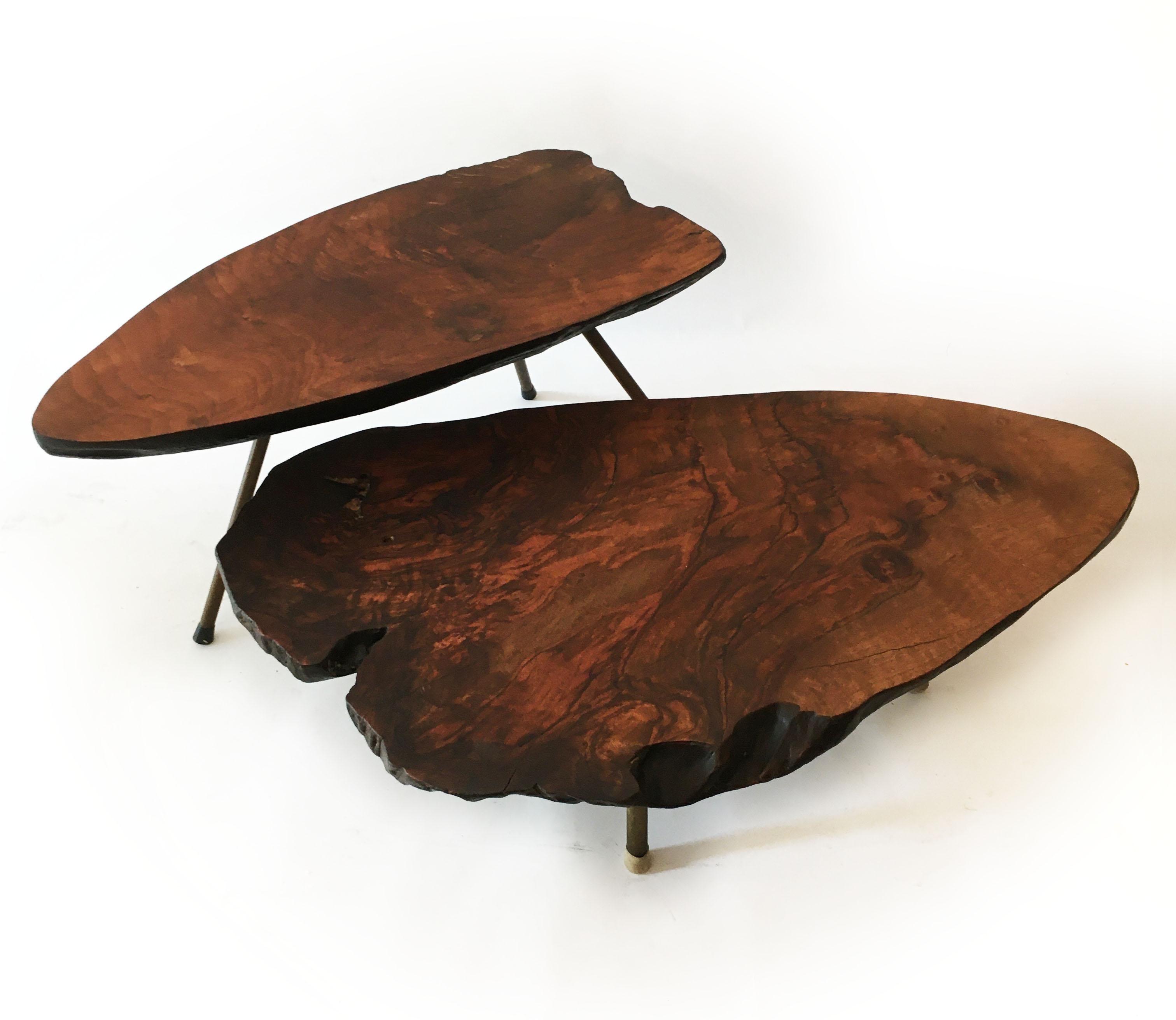 Vintage Tree Trunk Table Set of Two, Carl Auböck Style, Austria 1950s.