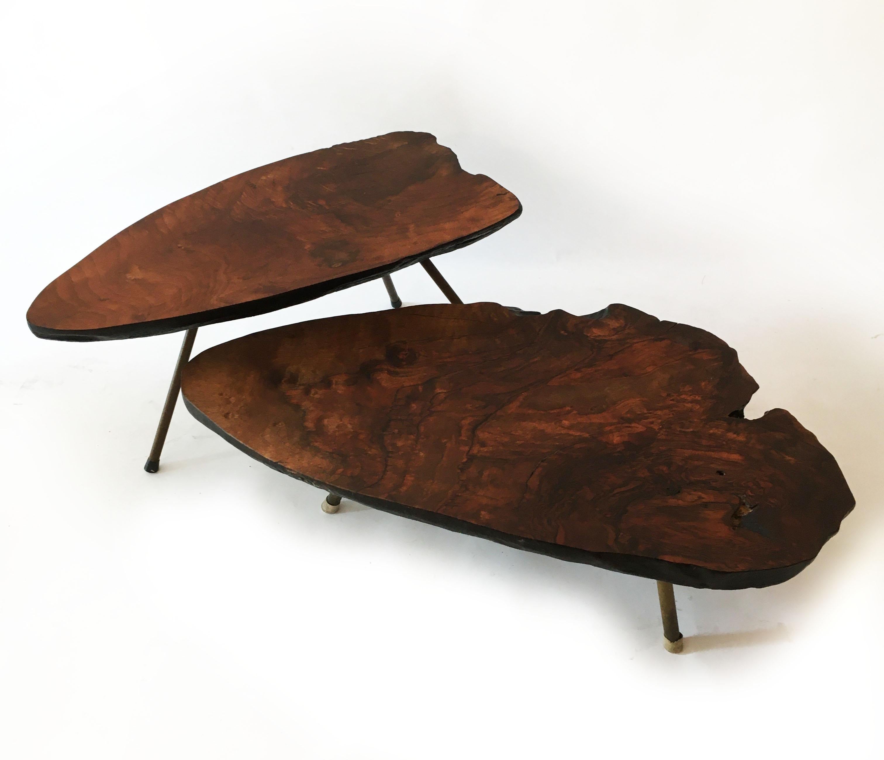 Vintage Tree Trunk Table Set of Two, Carl Auböck Style, Austria 1950s In Good Condition In Vienna, AT