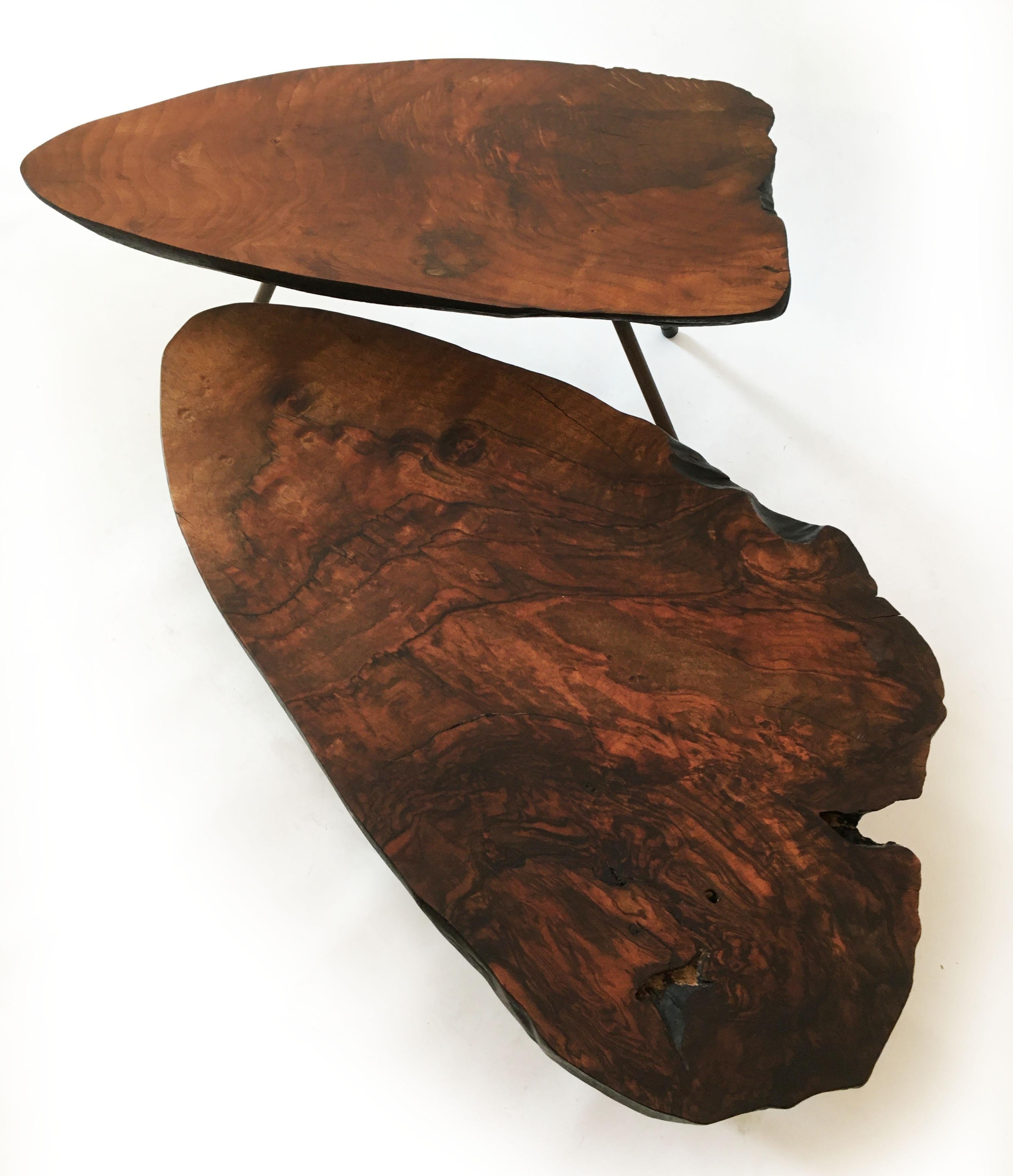 Mid-20th Century Vintage Tree Trunk Table Set of Two, Carl Auböck Style, Austria 1950s