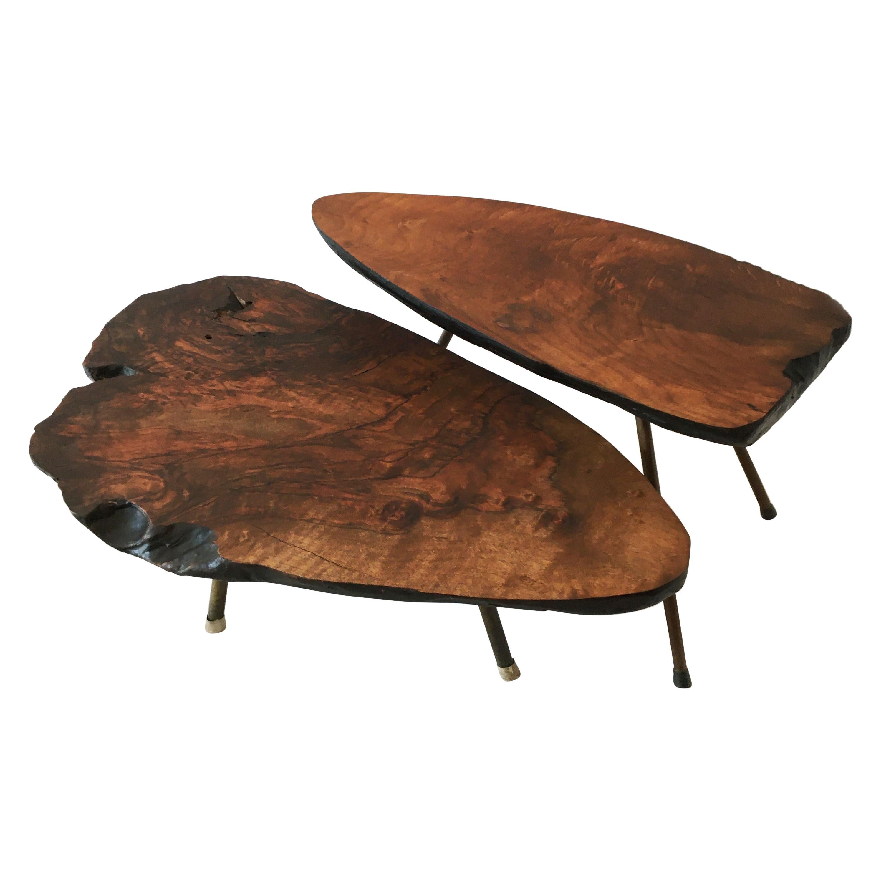 Vintage Tree Trunk Table Set of Two, Carl Auböck Style, Austria 1950s