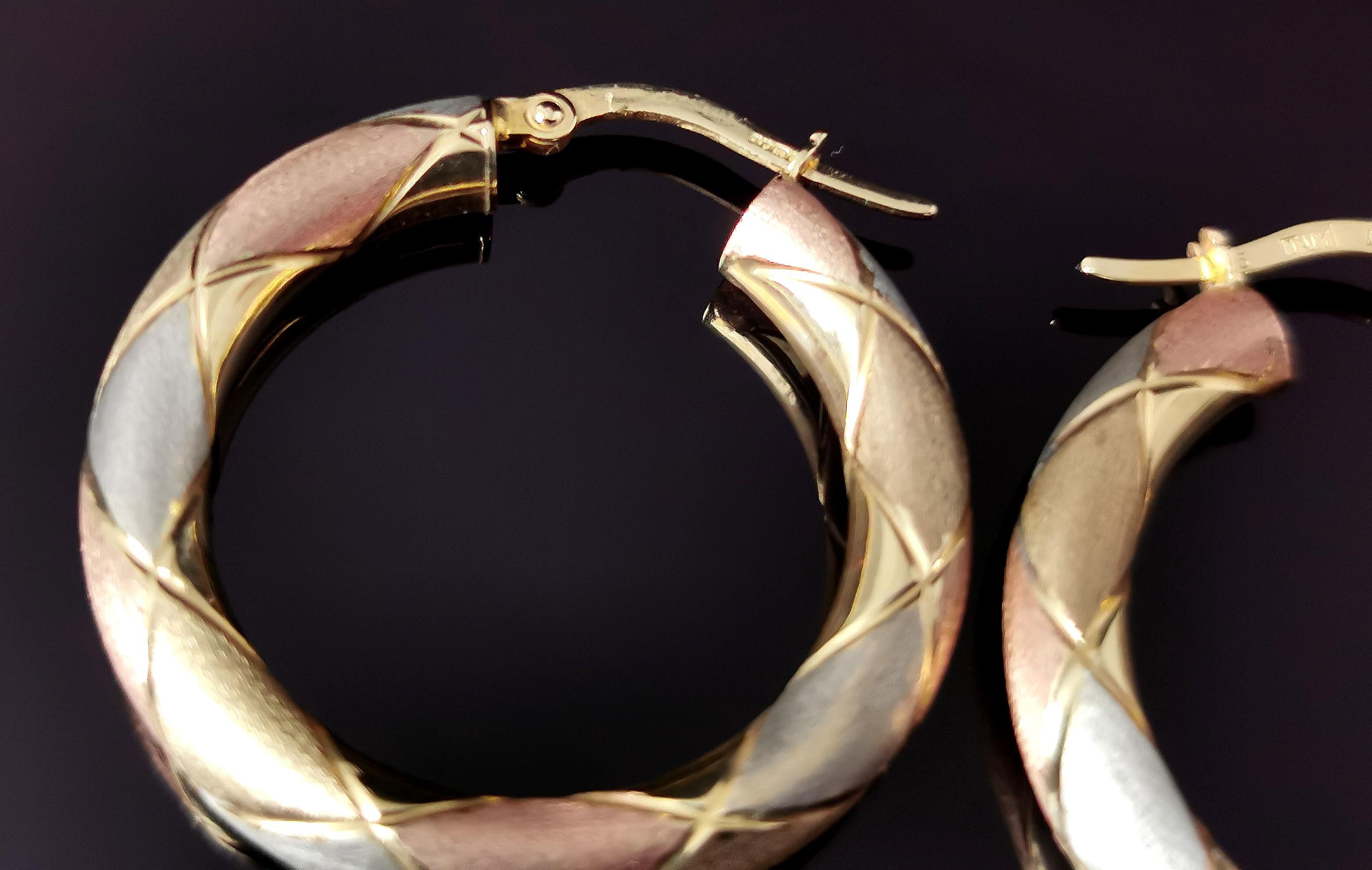 three colour gold hoop earrings