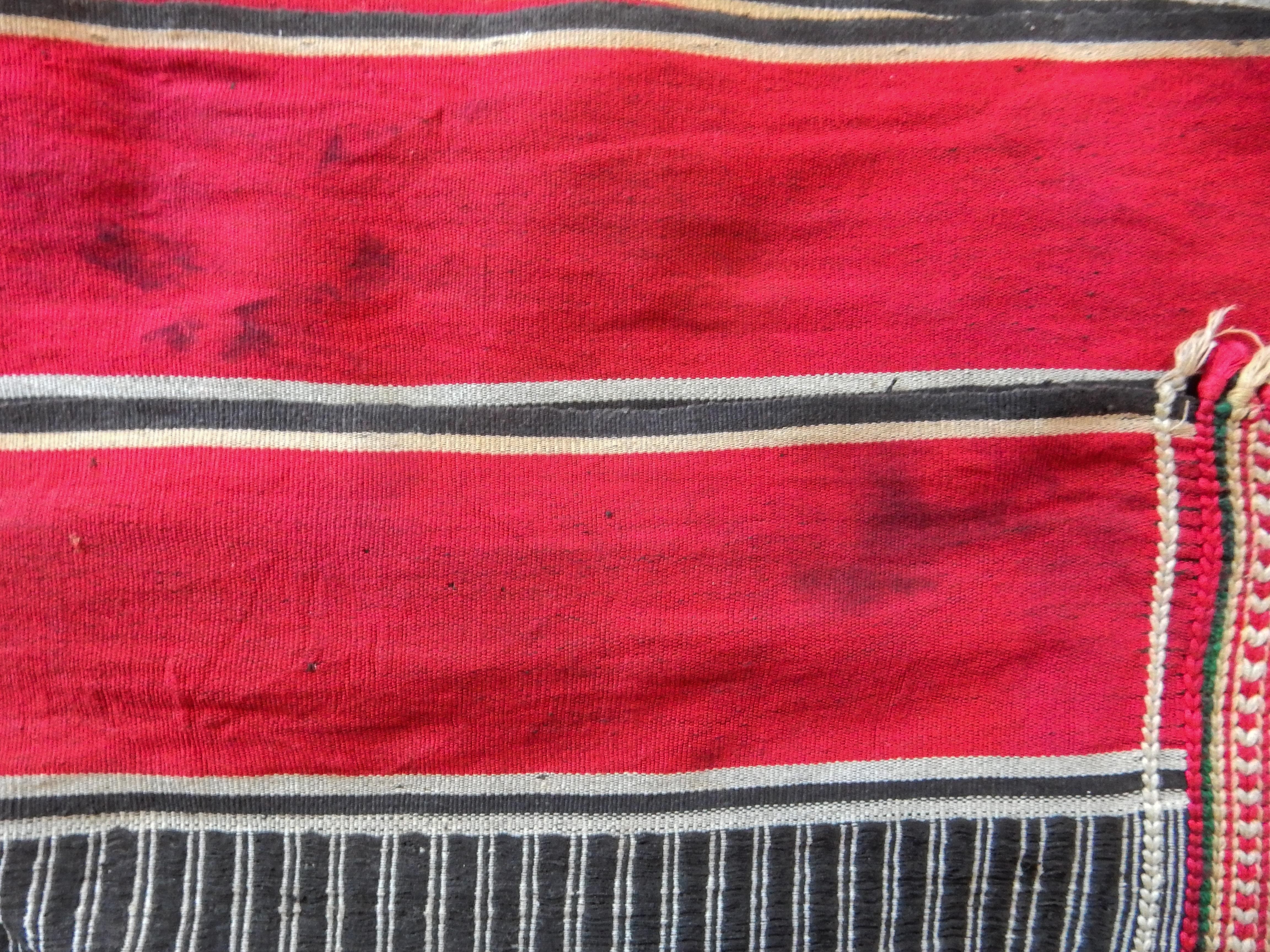 Vintage Tribal Elephant Cloth Textile Naga of Manipur, NE India Mid-20th Century 1