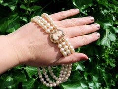 Cameo Clasp Cultured Pearl Choker in Yellow Gold