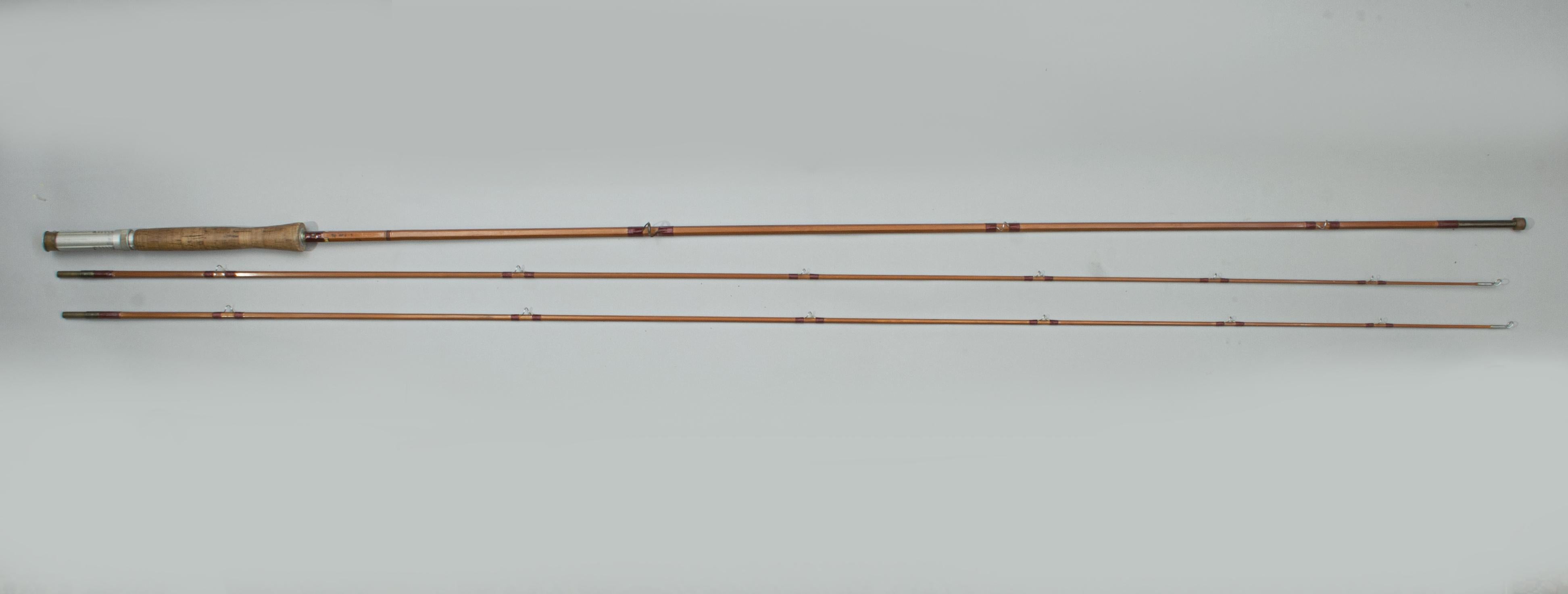 fishing rod cane