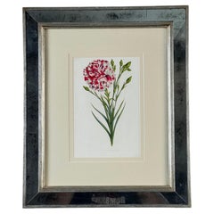 Vintage Trowbridge Custom Framed Botanical Print “Dianthus caryophyllus” After L
