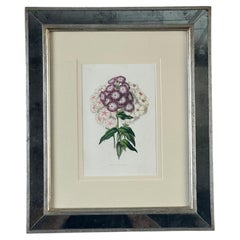 Vintage Trowbridge Custom Framed Botanical Print “Phlox” after Louis van Houtte
