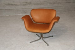 Vintage Tulip Chair by Pierre Paulin for Artifort, 1960s