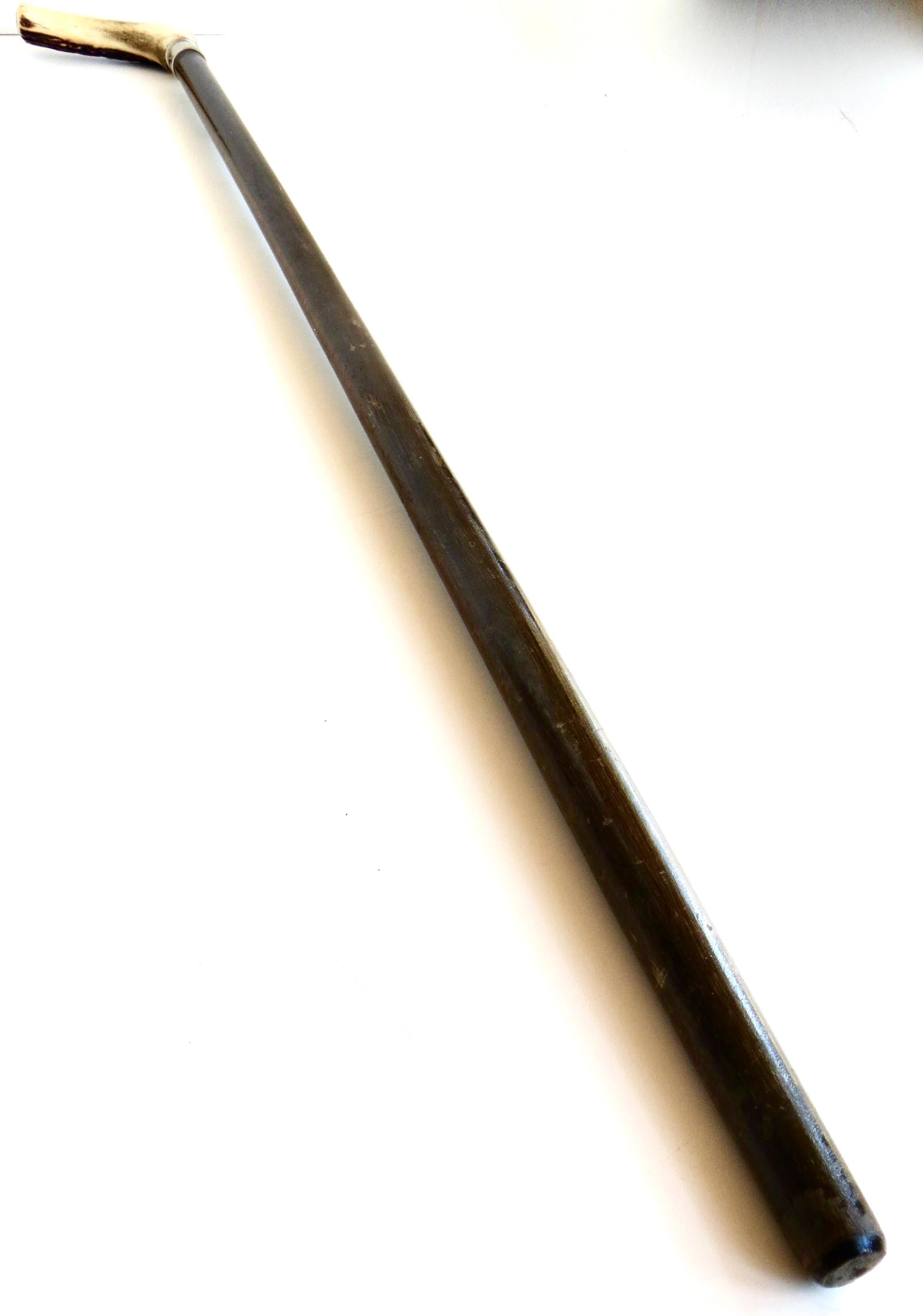 Vintage Turn of The Century Hirsch Horn Griff American Walking Stick CIRCA 1900 (Volkskunst) im Angebot