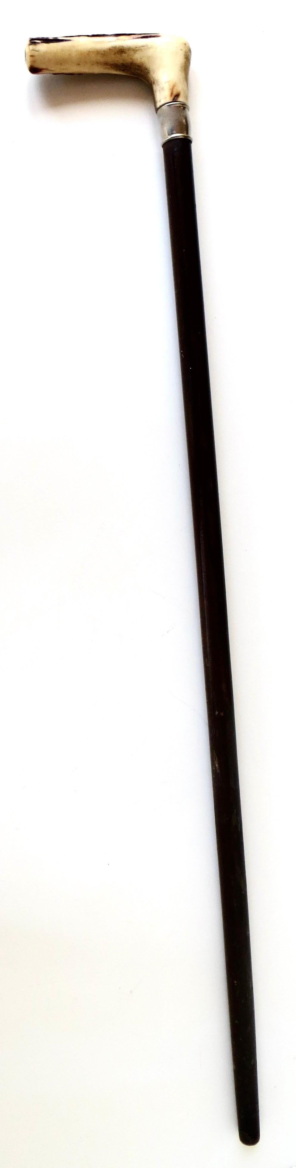 Vintage Turn of The Century Hirsch Horn Griff American Walking Stick CIRCA 1900 im Zustand „Gut“ im Angebot in Incline Village, NV