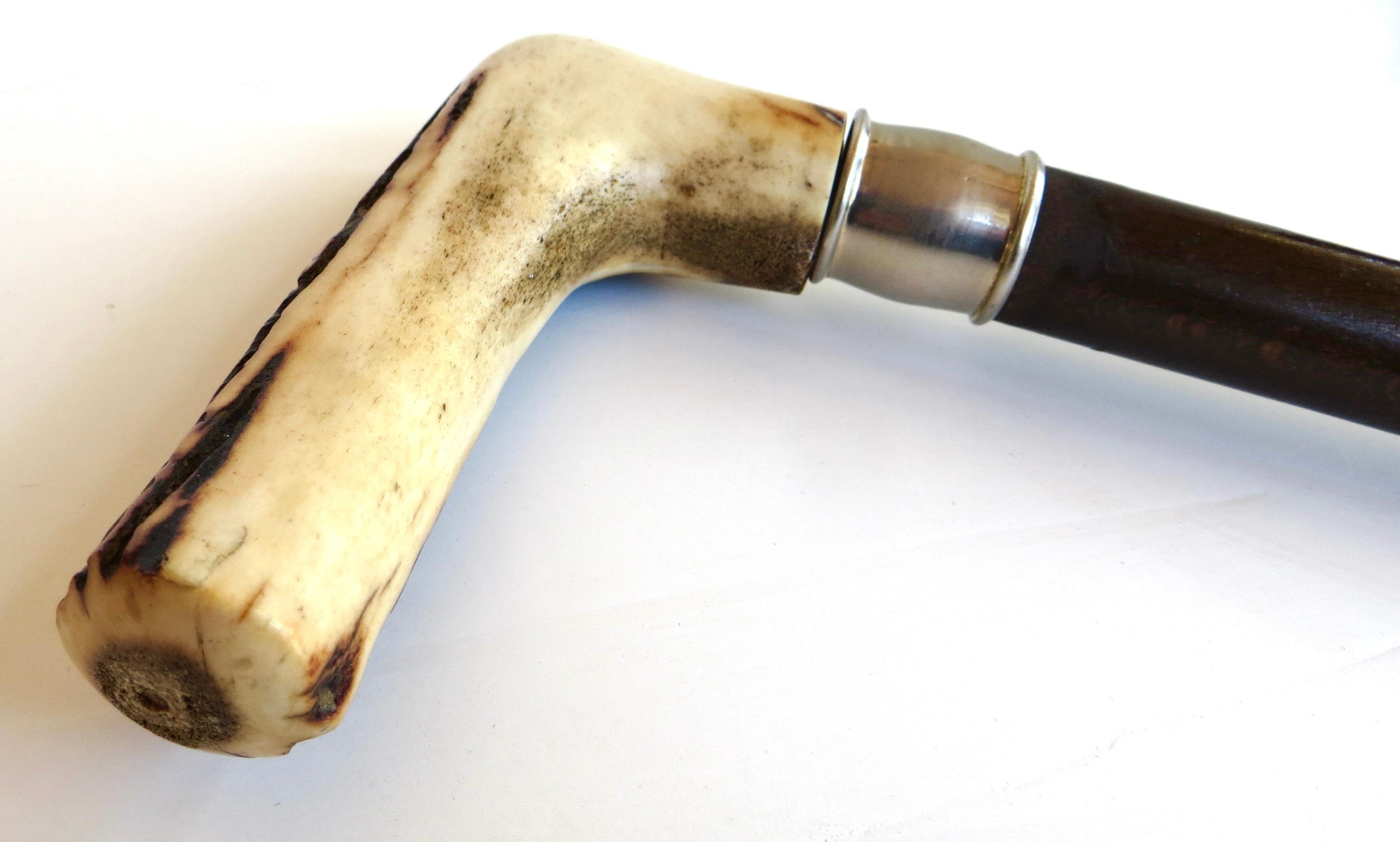 Vintage Turn of The Century Hirsch Horn Griff American Walking Stick CIRCA 1900 (Knochen) im Angebot
